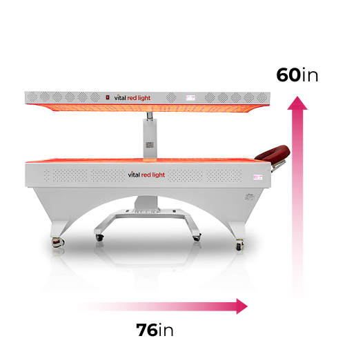 Vital Bed Full-Body Light System